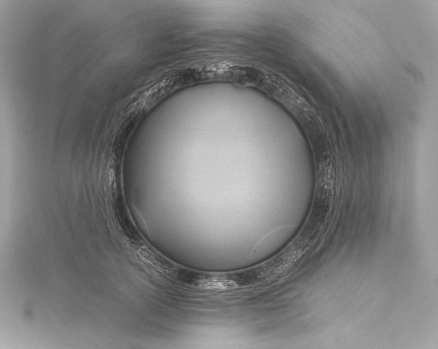 X0000115800754200912041533