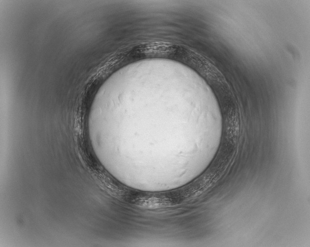 X0000115800755200912041533