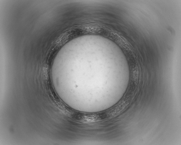 X0000115800757200912041533