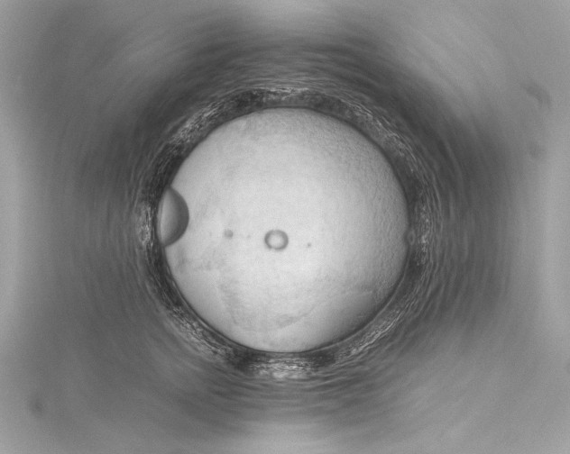 X0000115800758200912041533