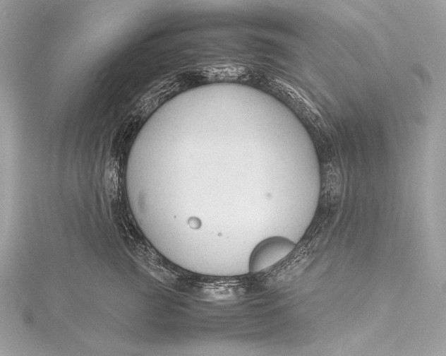 X0000115800761200912041533