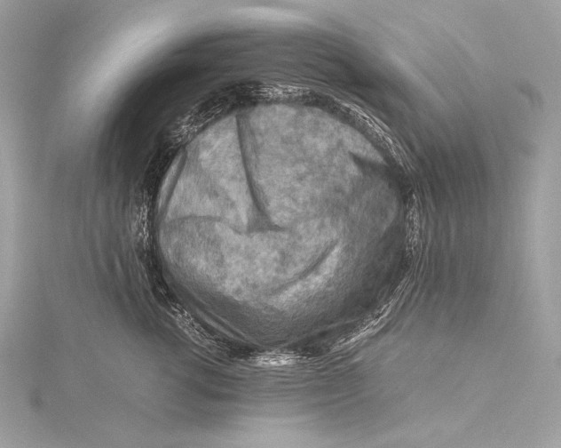 X0000115800762200912041533