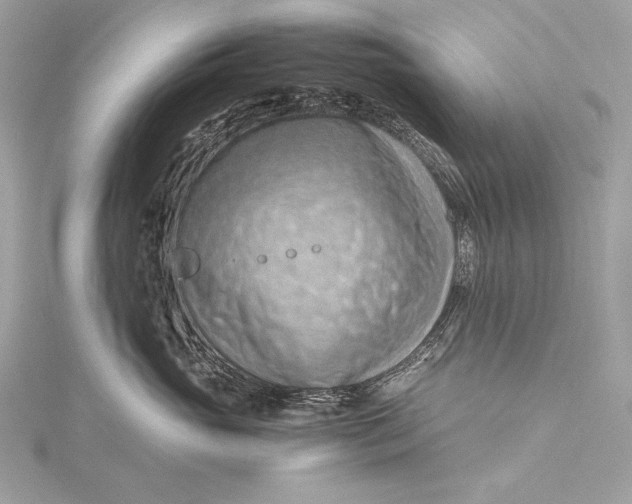 X0000115800765200912041533