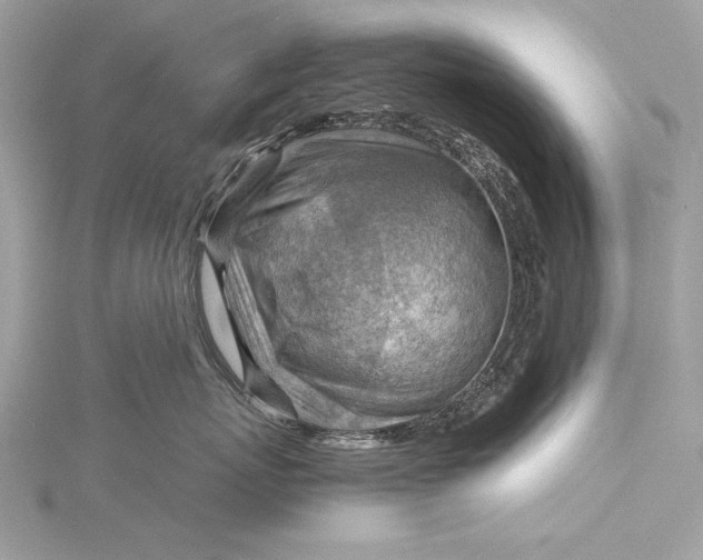 X0000115800767200912041533