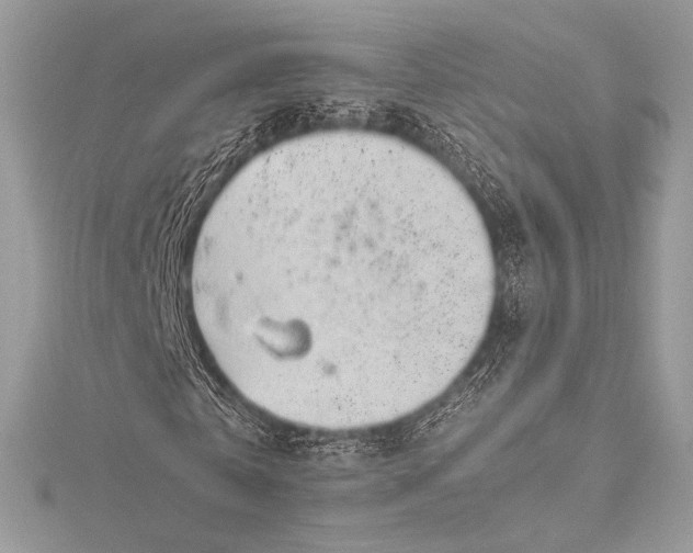 X0000115800769200912041533