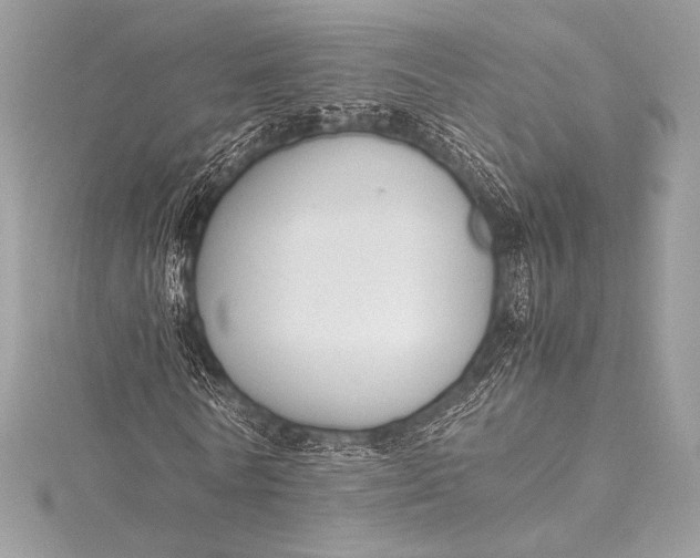 X0000115800770200912041533