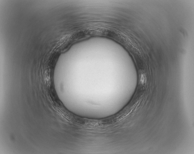 X0000115800771200912041533