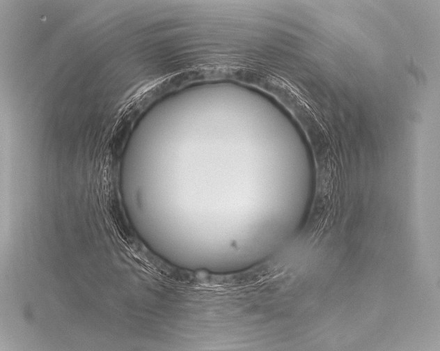 X0000115800773200912041533