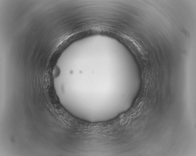 X0000115800776200912041533