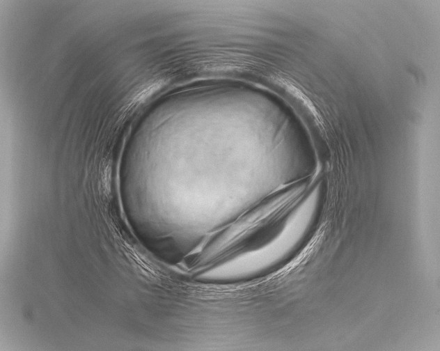 X0000115800777200912041533