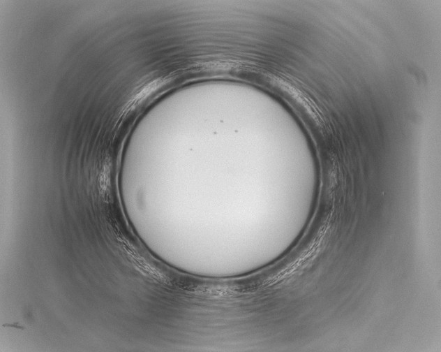 X0000115800778200912041533