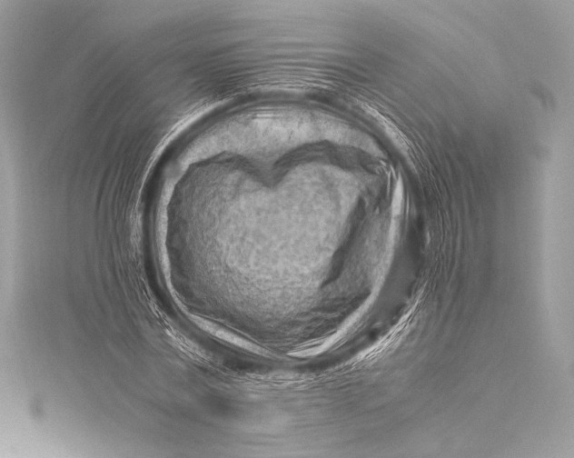 X0000115800779200912041533