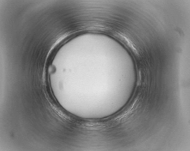 X0000115800780200912041533