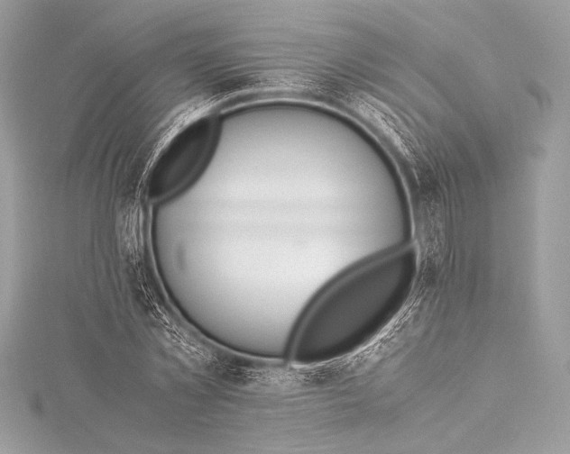 X0000115800781200912041533