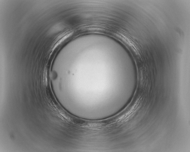 X0000115800782200912041533