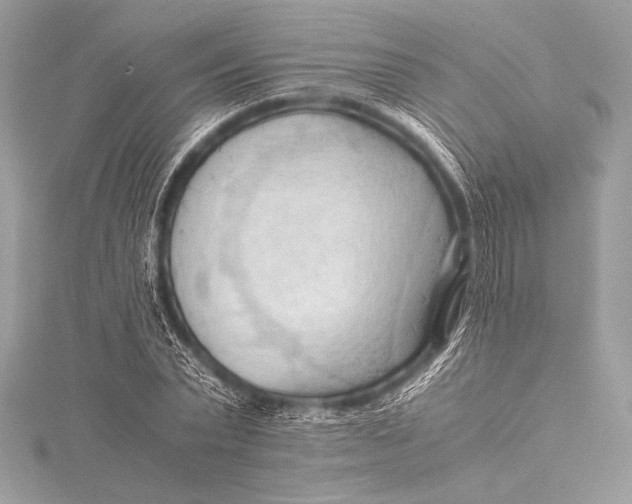 X0000115800783200912041533