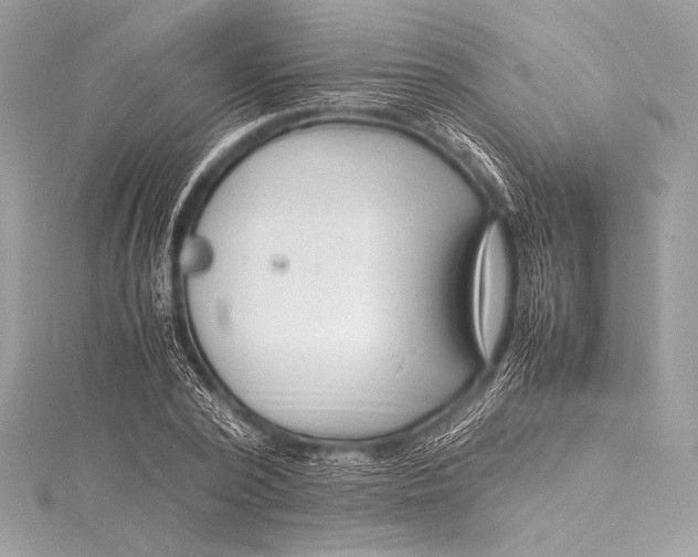 X0000115800784200912041533