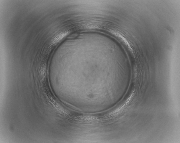 X0000115800785200912041533