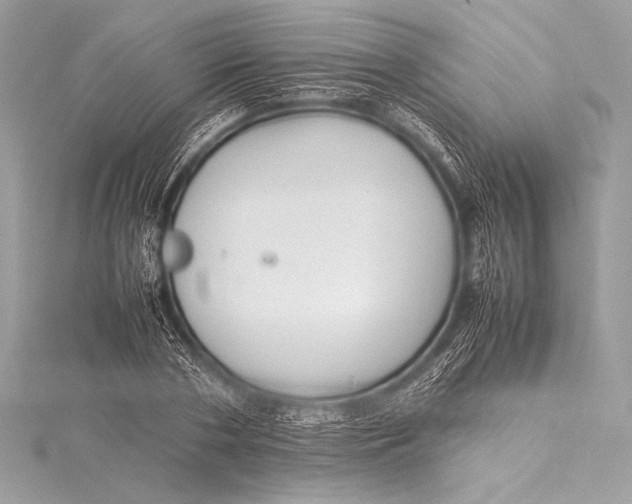 X0000115800786200912041533