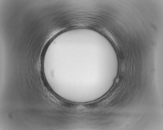 X0000115800787200912041533