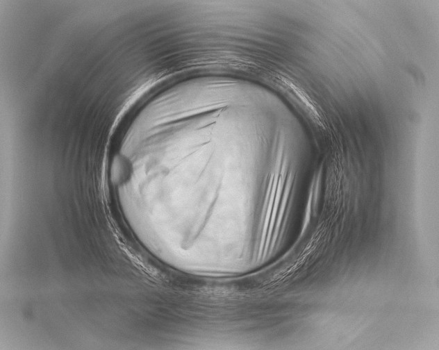 X0000115800788200912041533