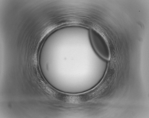 X0000115800789200912041533