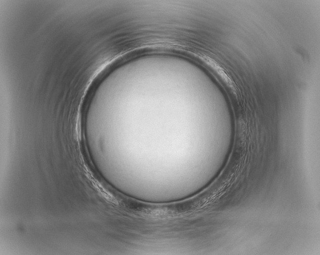 X0000115800791200912041533