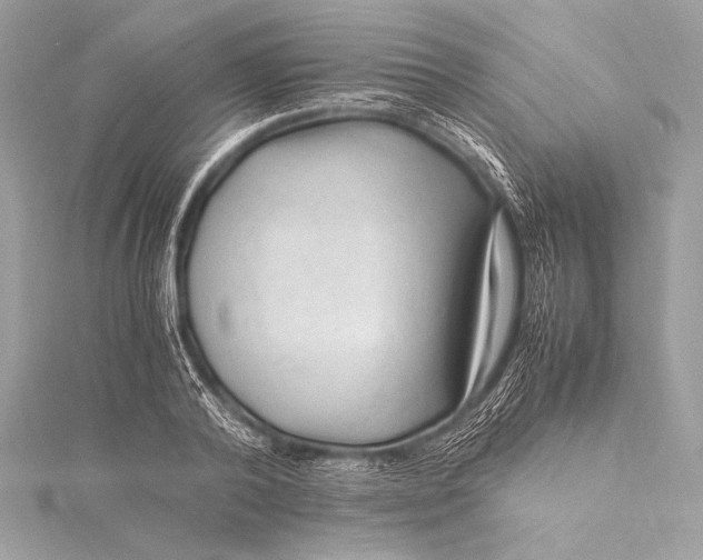 X0000115800792200912041533