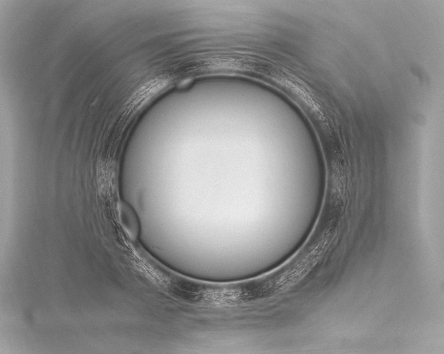 X0000115800793200912041533