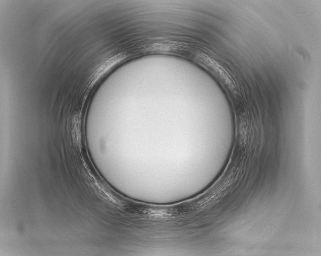 X0000115800794200912041533