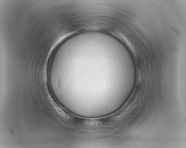 X0000115800795200912041533