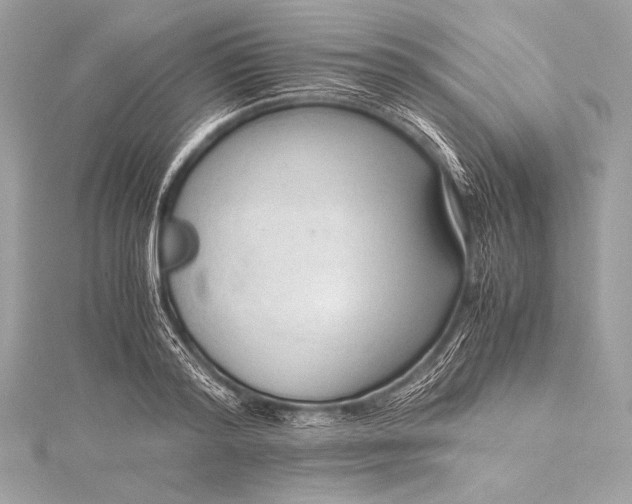 X0000115800796200912041533