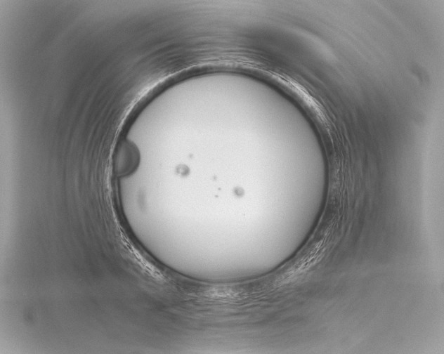 X0000115800799200912041533