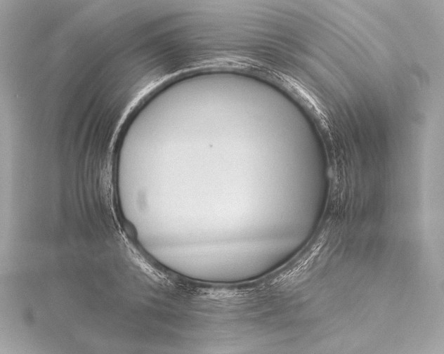 X0000115800800200912041532