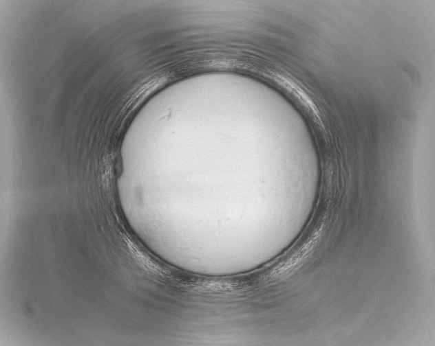 X0000115800801200912041532