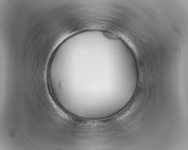 X0000115800803200912041532