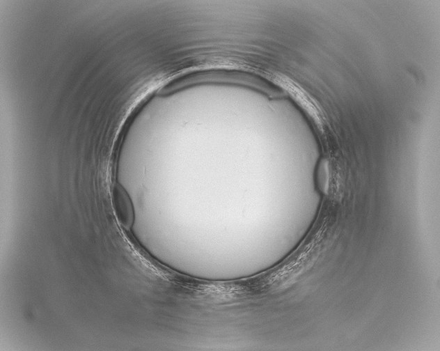 X0000115800805200912041532