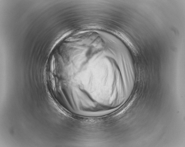 X0000115800806200912041532