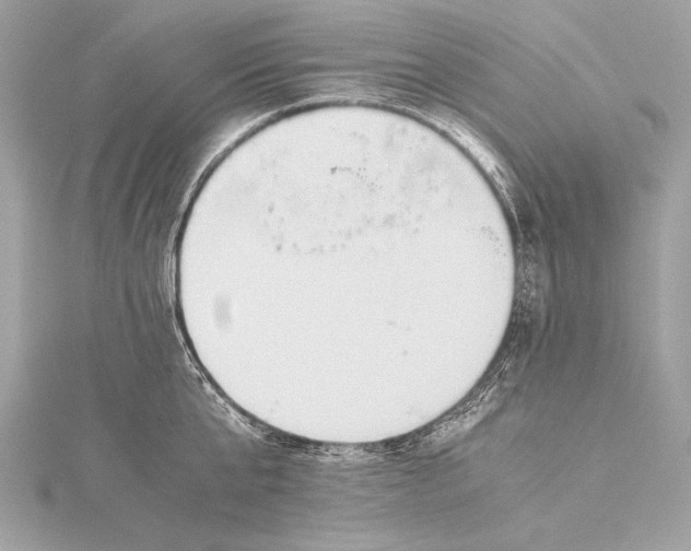 X0000115800807200912041532