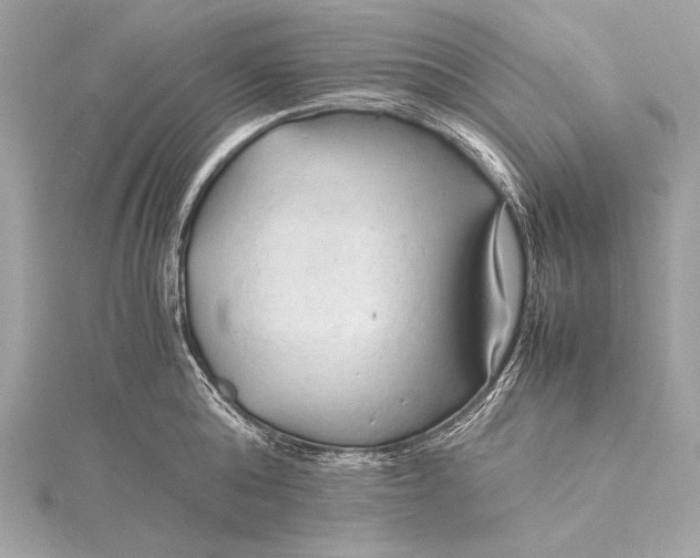 X0000115800808200912041532