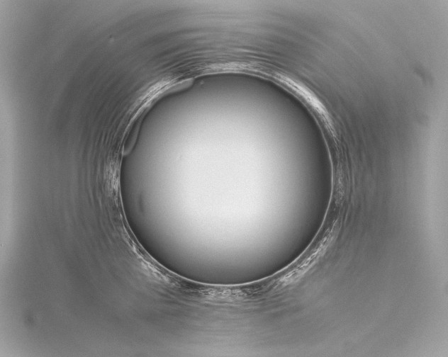 X0000115800809200912041532