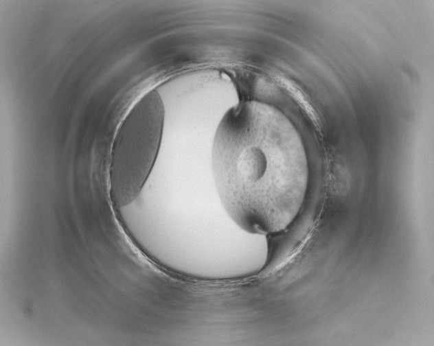 X0000115800810200912041532