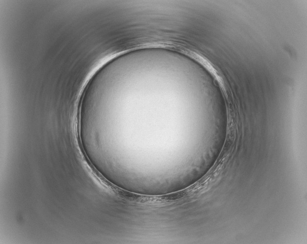 X0000115800811200912041532