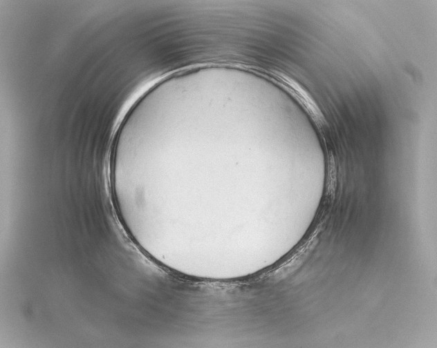 X0000115800812200912041532