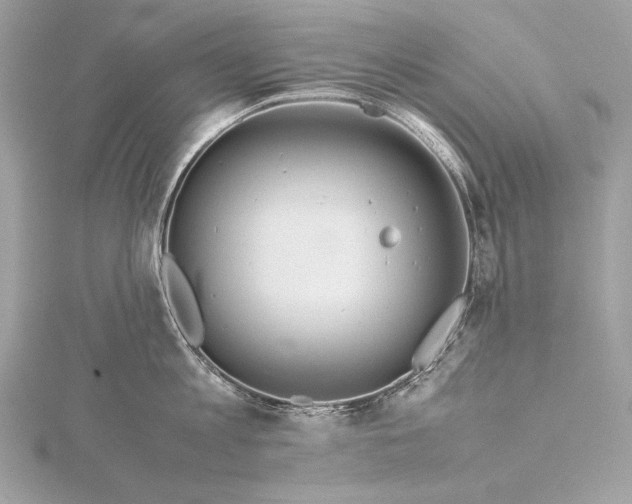 X0000115800813200912041532