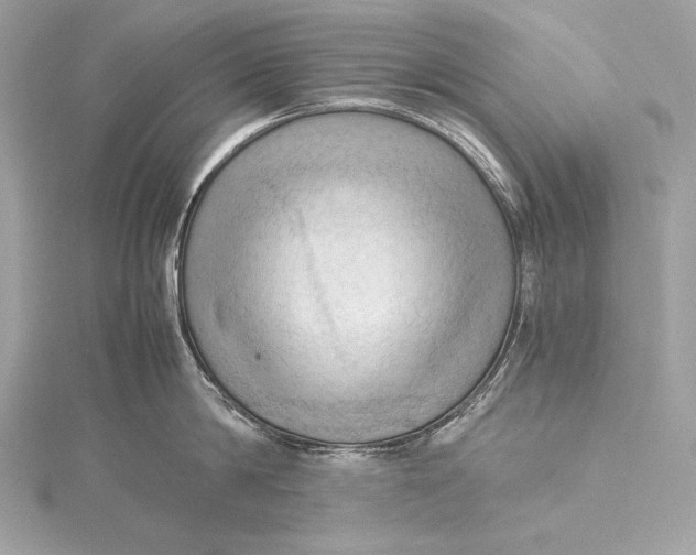 X0000115800814200912041532