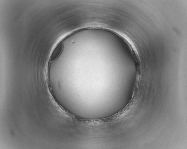 X0000115800815200912041532