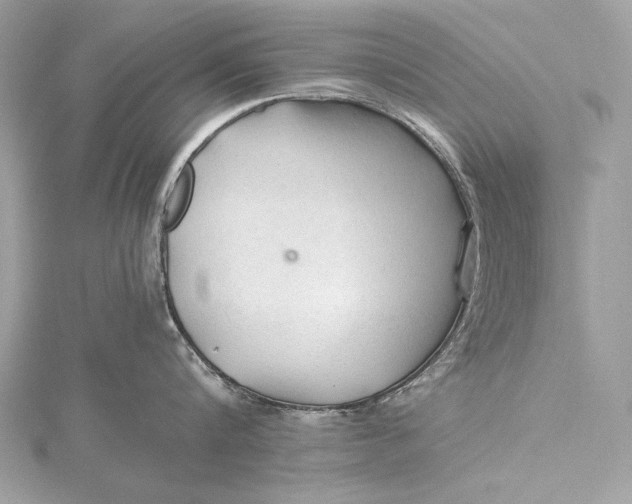 X0000115800816200912041532