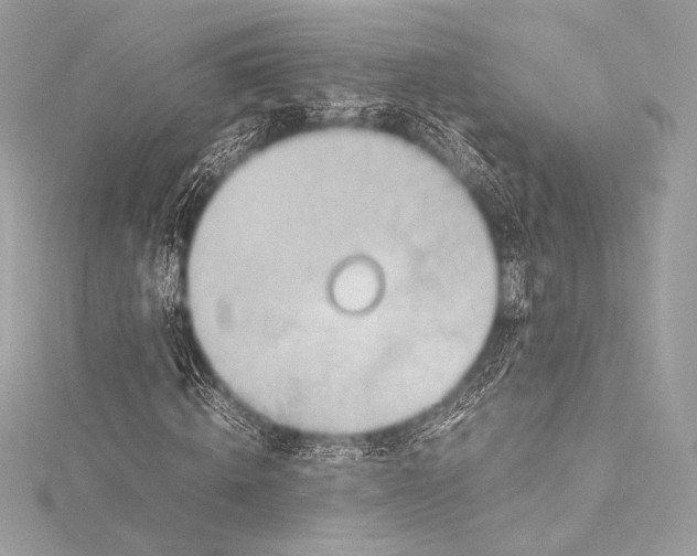 X0000115800820200912041532