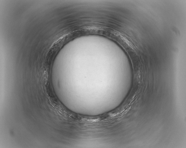 X0000115800821200912041532